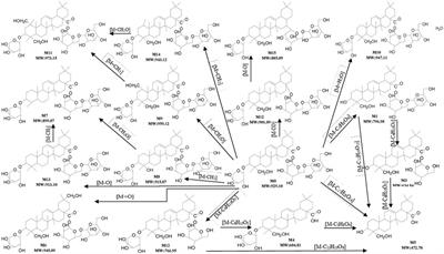 Pharmacokinetics, Bioavailability, Excretion and Metabolism Studies of Akebia Saponin D in Rats: Causes of the Ultra-Low Oral Bioavailability and Metabolic Pathway